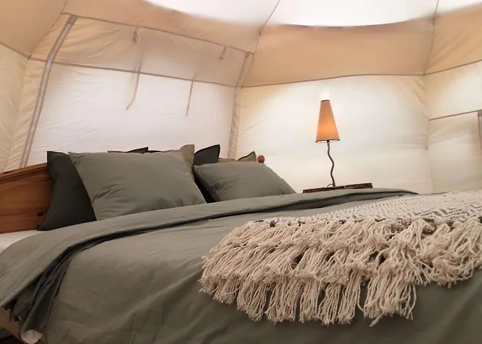 ホリデーパーク & Ferienunterkuenfte Steinplatte